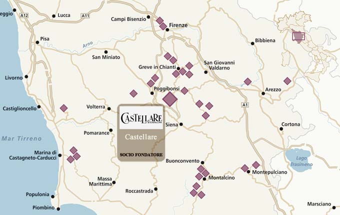 domini-castellare-di-castellina-map