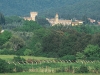 tenuta-s-guido-02